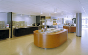 RVS maatwerk / buffetten - Horeca Equiptment Holland